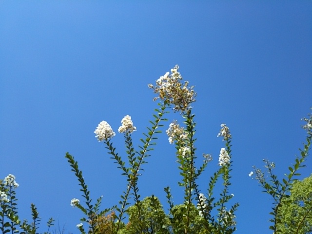 f:id:oinor-i:20190919135409j:plain
