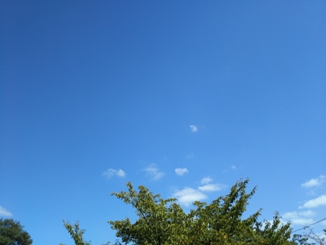 f:id:oinor-i:20190919135931j:plain f:id:oinor-i:20190919135931j:plain