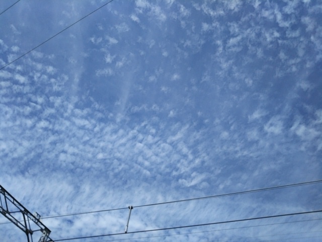f:id:oinor-i:20190922123136j:plain