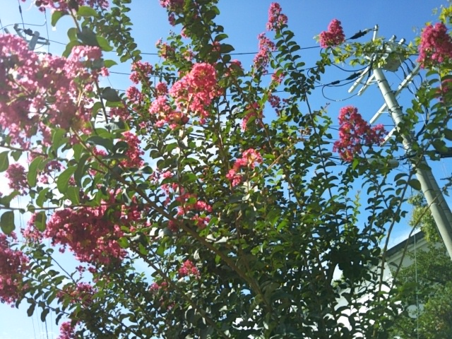 f:id:oinor-i:20190925174454j:plain