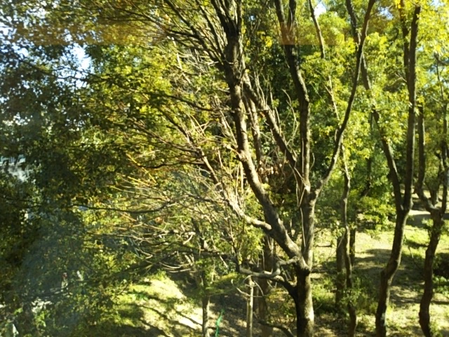 f:id:oinor-i:20191115140722j:plain f:id:oinor-i:20191115140722j:plain
