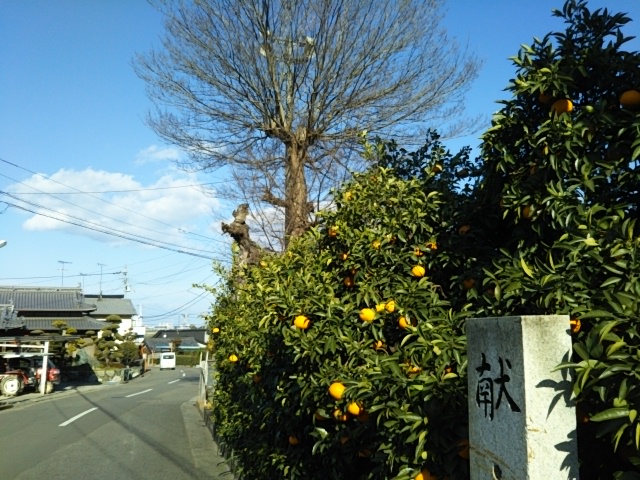 f:id:oinor-i:20200110092056j:plain