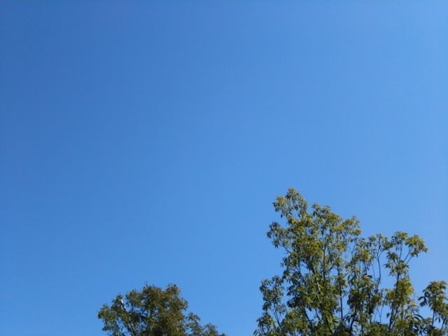 f:id:oinor-i:20200221133532j:plain