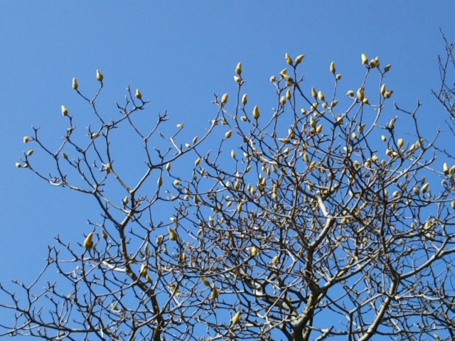 f:id:oinor-i:20200302103134j:plain f:id:oinor-i:20200302103134j:plain