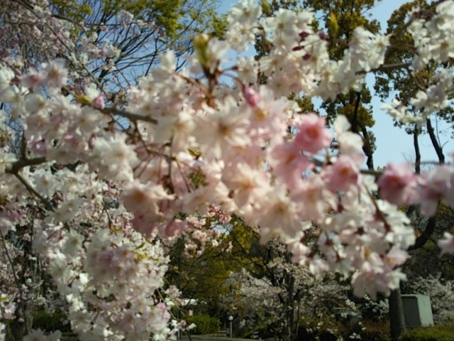 f:id:oinor-i:20200408120329j:plain f:id:oinor-i:20200408120329j:plain