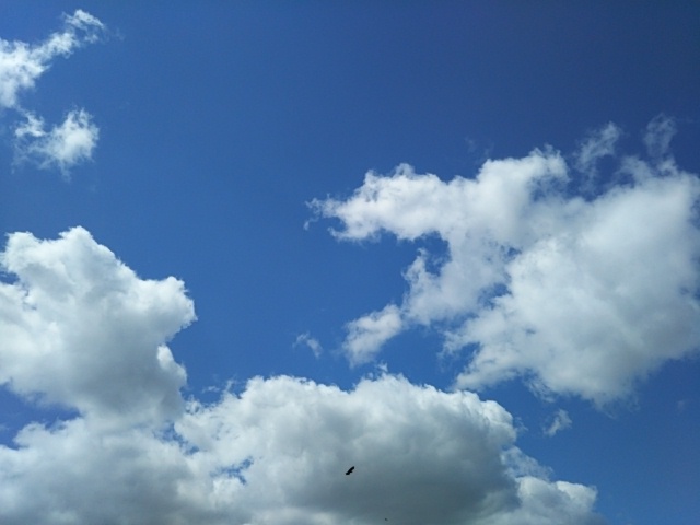f:id:oinor-i:20200413150332j:plain f:id:oinor-i:20200413150332j:plain