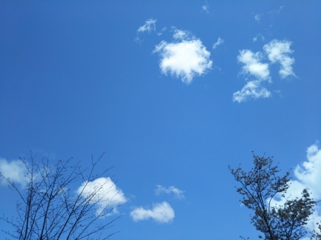 f:id:oinor-i:20200413150439j:plain f:id:oinor-i:20200413150439j:plain
