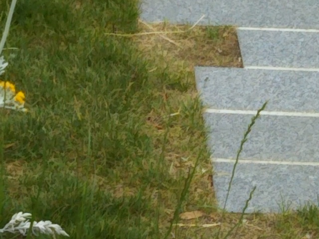 f:id:oinor-i:20200523142534j:plain f:id:oinor-i:20200523142534j:plain
