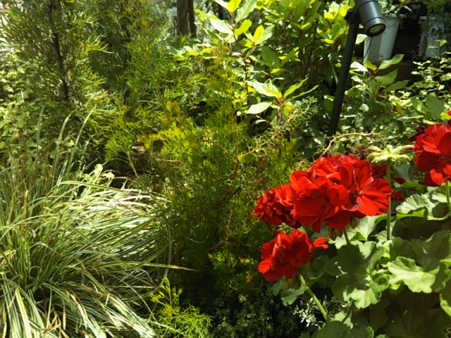 f:id:oinor-i:20200523142707j:plain