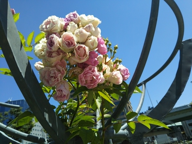 f:id:oinor-i:20200528121750j:plain