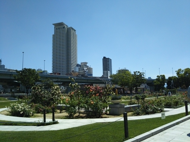 f:id:oinor-i:20200528122150j:plain f:id:oinor-i:20200528122150j:plain