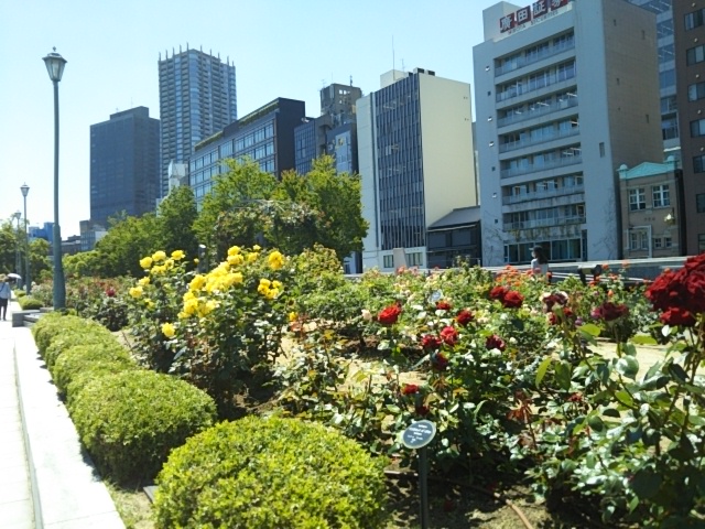 f:id:oinor-i:20200528122245j:plain