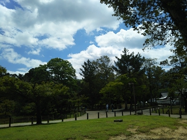 f:id:oinor-i:20200624113119j:plain