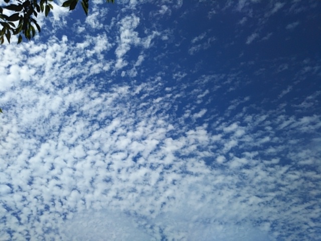 f:id:oinor-i:20200624113817j:plain f:id:oinor-i:20200624113817j:plain