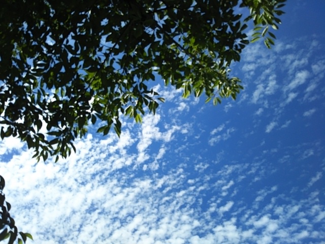 f:id:oinor-i:20200624113837j:plain