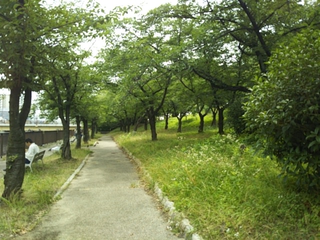 f:id:oinor-i:20200627111836j:plain f:id:oinor-i:20200627111836j:plain