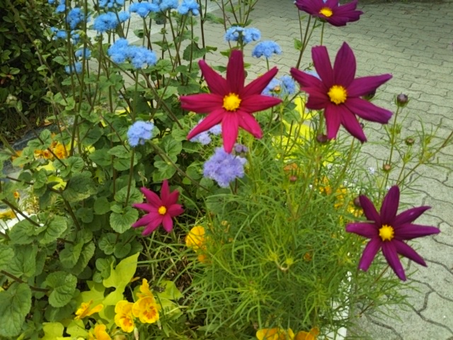 f:id:oinor-i:20200628121553j:plain