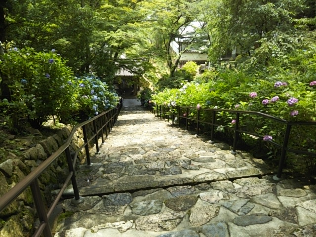 f:id:oinor-i:20200701145808j:plain