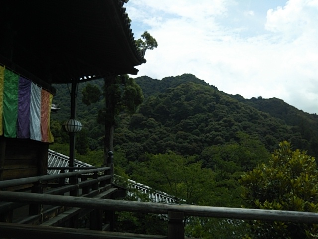 f:id:oinor-i:20200701150241j:plain