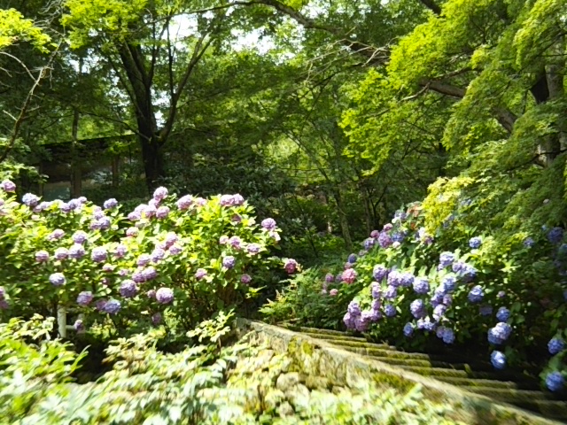 f:id:oinor-i:20200701150736j:plain f:id:oinor-i:20200701150736j:plain