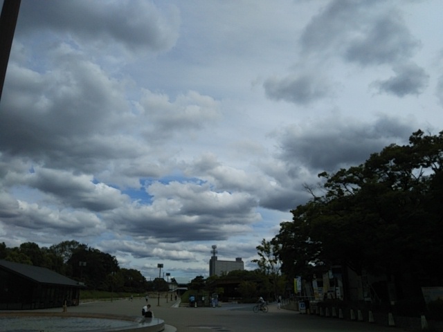 f:id:oinor-i:20200916093115j:plain