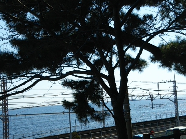 f:id:oinor-i:20200925151550j:plain f:id:oinor-i:20200925151550j:plain