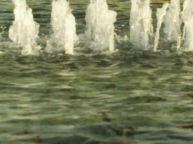 f:id:oinor-i:20201115114709j:plain