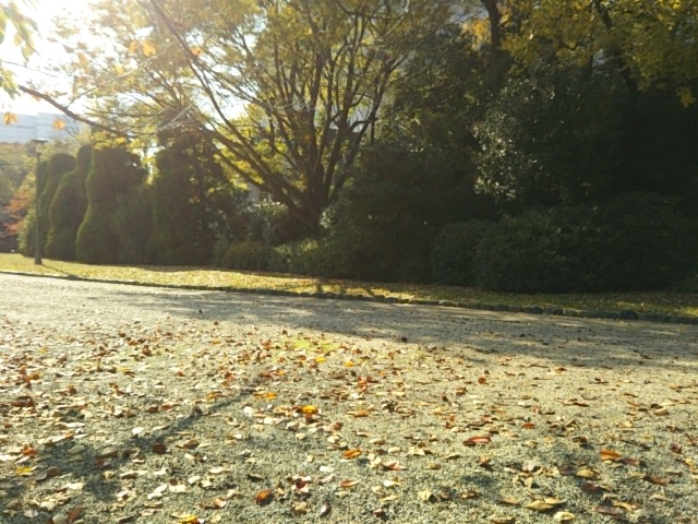 f:id:oinor-i:20201127112817j:plain