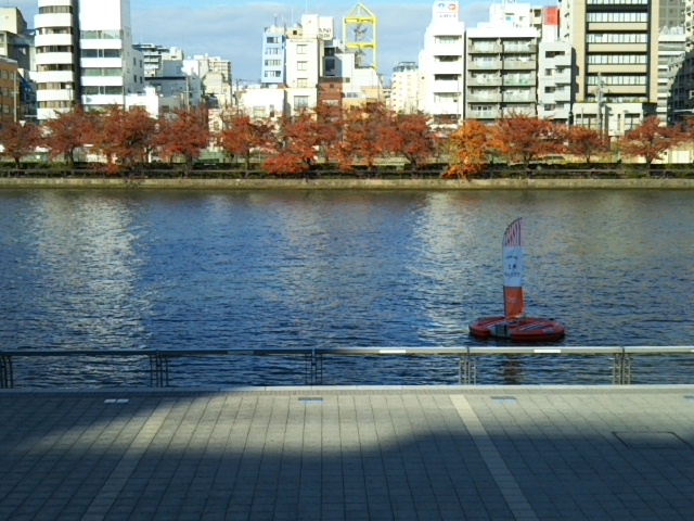 f:id:oinor-i:20201127113104j:plain