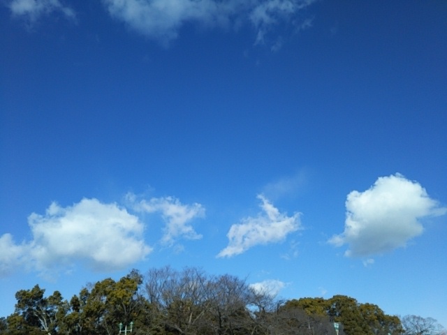f:id:oinor-i:20210109130407j:plain