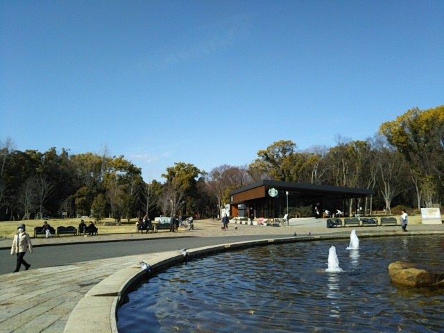 f:id:oinor-i:20210201104747j:plain