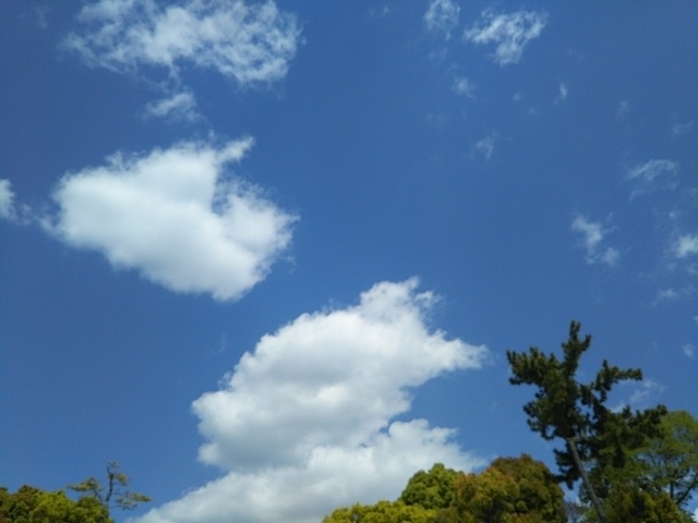 f:id:oinor-i:20210420112941j:plain