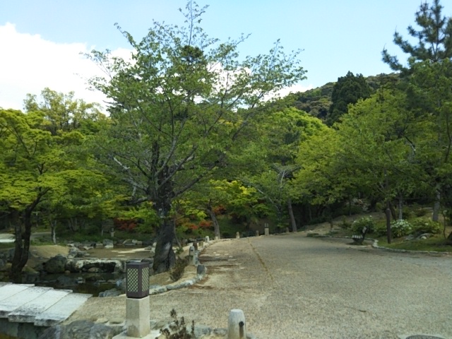 f:id:oinor-i:20210420113147j:plain