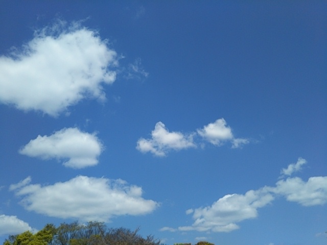 f:id:oinor-i:20210422105404j:plain