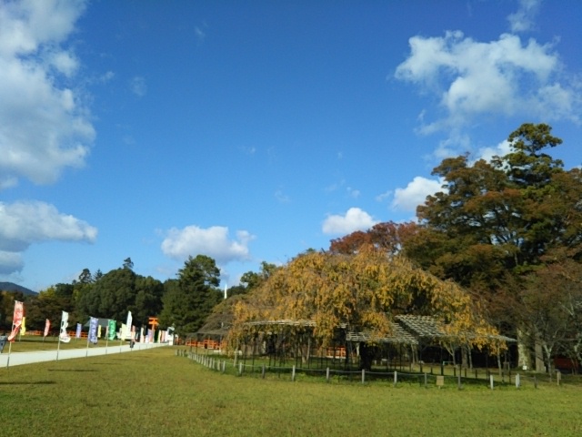 f:id:oinor-i:20211030181741j:plain