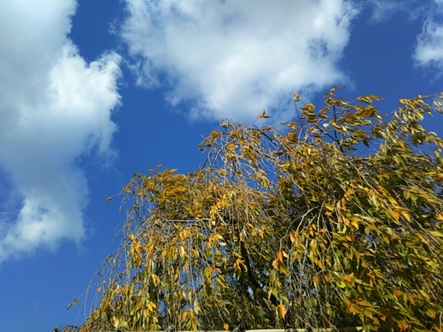 f:id:oinor-i:20211030181855j:plain