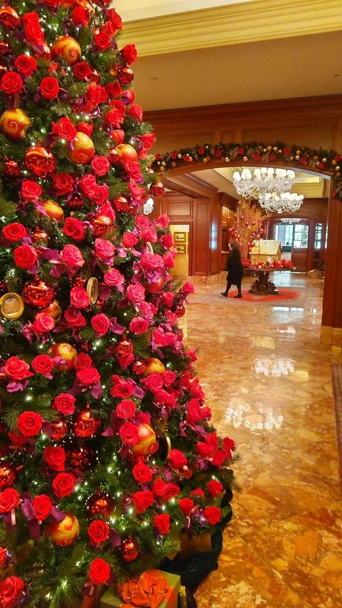 f:id:oinor-i:20211206143048j:plain