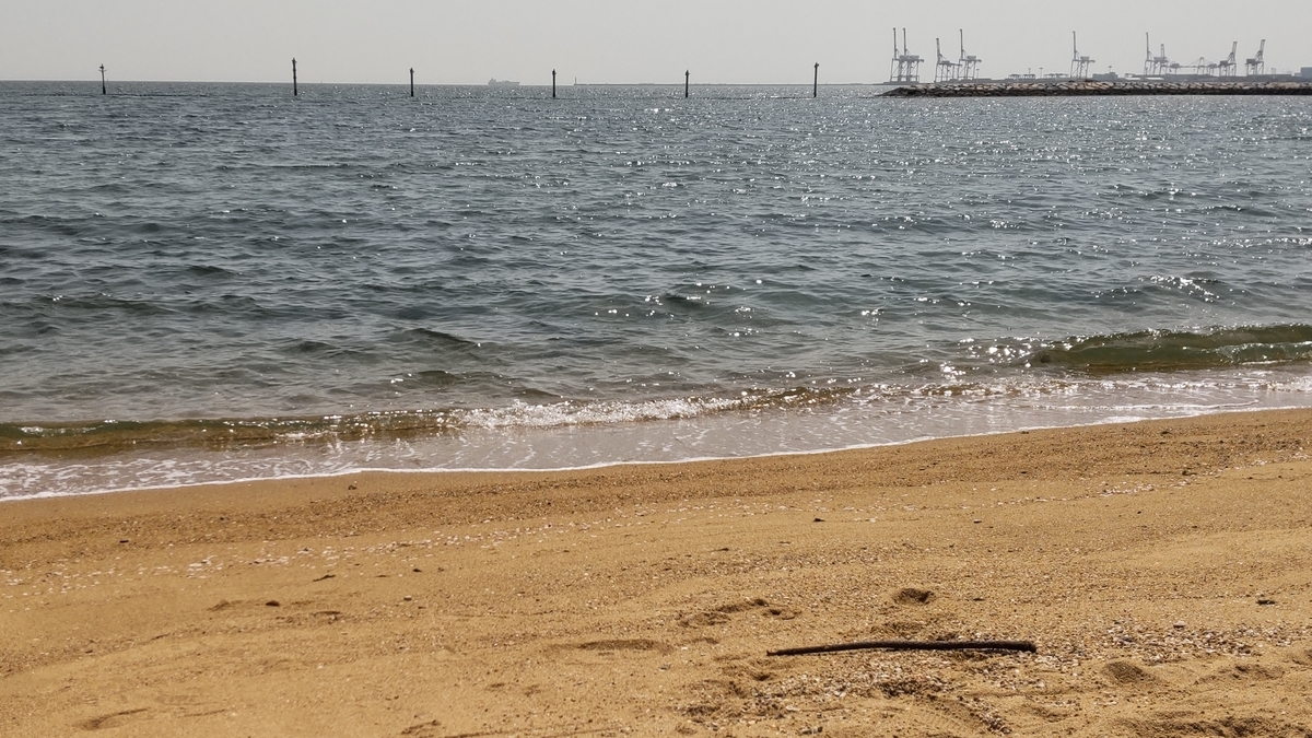 f:id:oinor-i:20220409111623j:plain