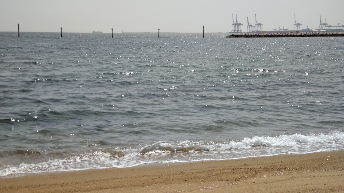 f:id:oinor-i:20220409111639j:plain