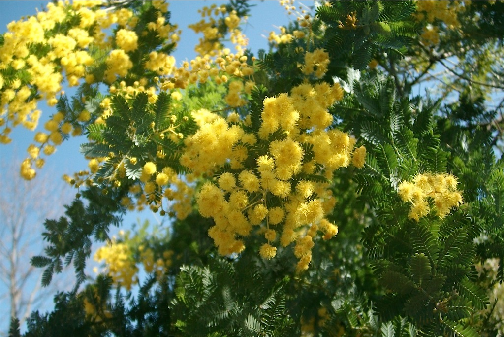 f:id:oinuyuni:20240302004710j:image f:id:oinuyuni:20240302004710j:image