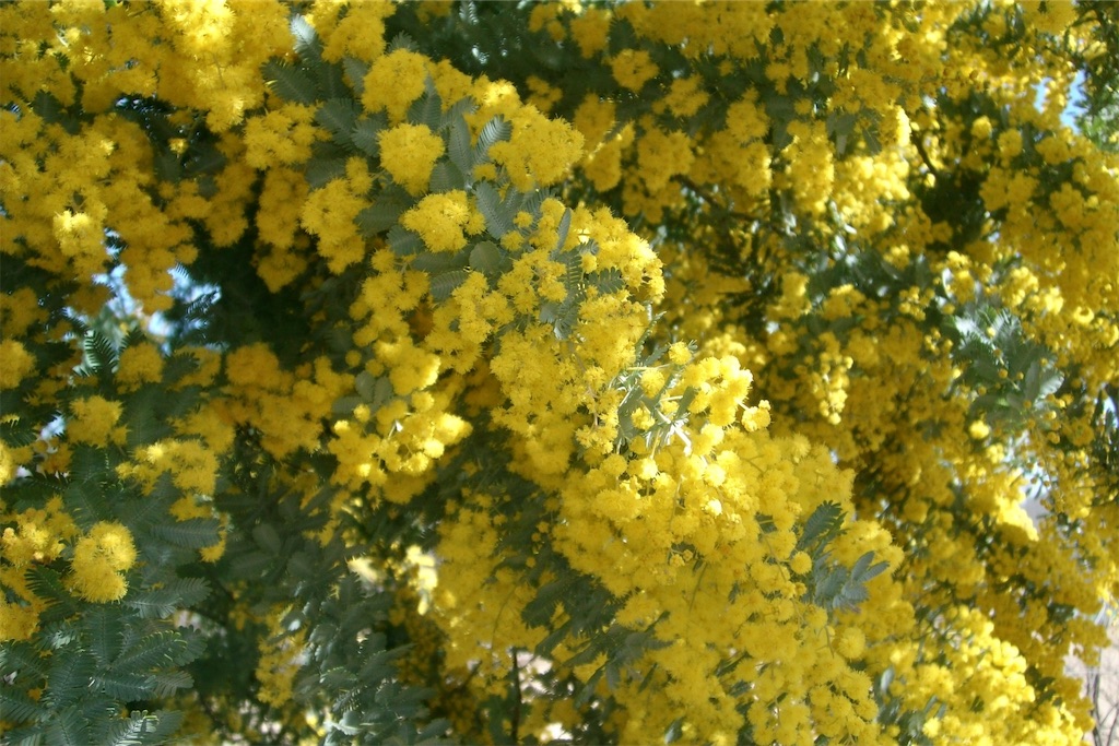 f:id:oinuyuni:20240302004713j:image f:id:oinuyuni:20240302004713j:image