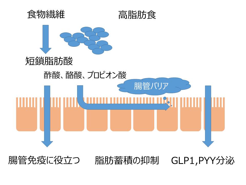 f:id:oishi-hp:20180531120453j:plain