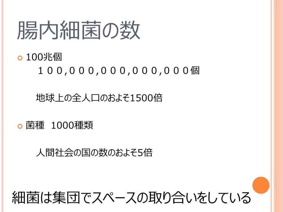 f:id:oishi-hp:20180531121633j:plain