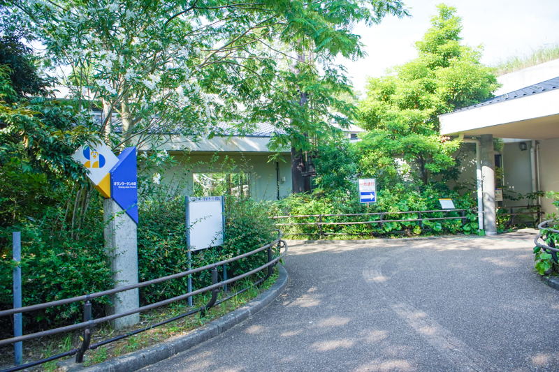 f:id:oishi-shogo:20200706195248j:plain