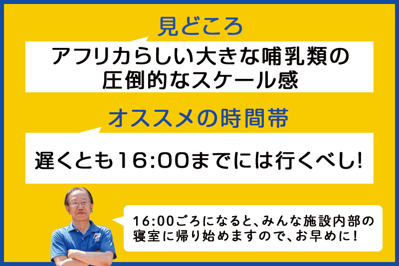 f:id:oishi-shogo:20200807184104j:plain