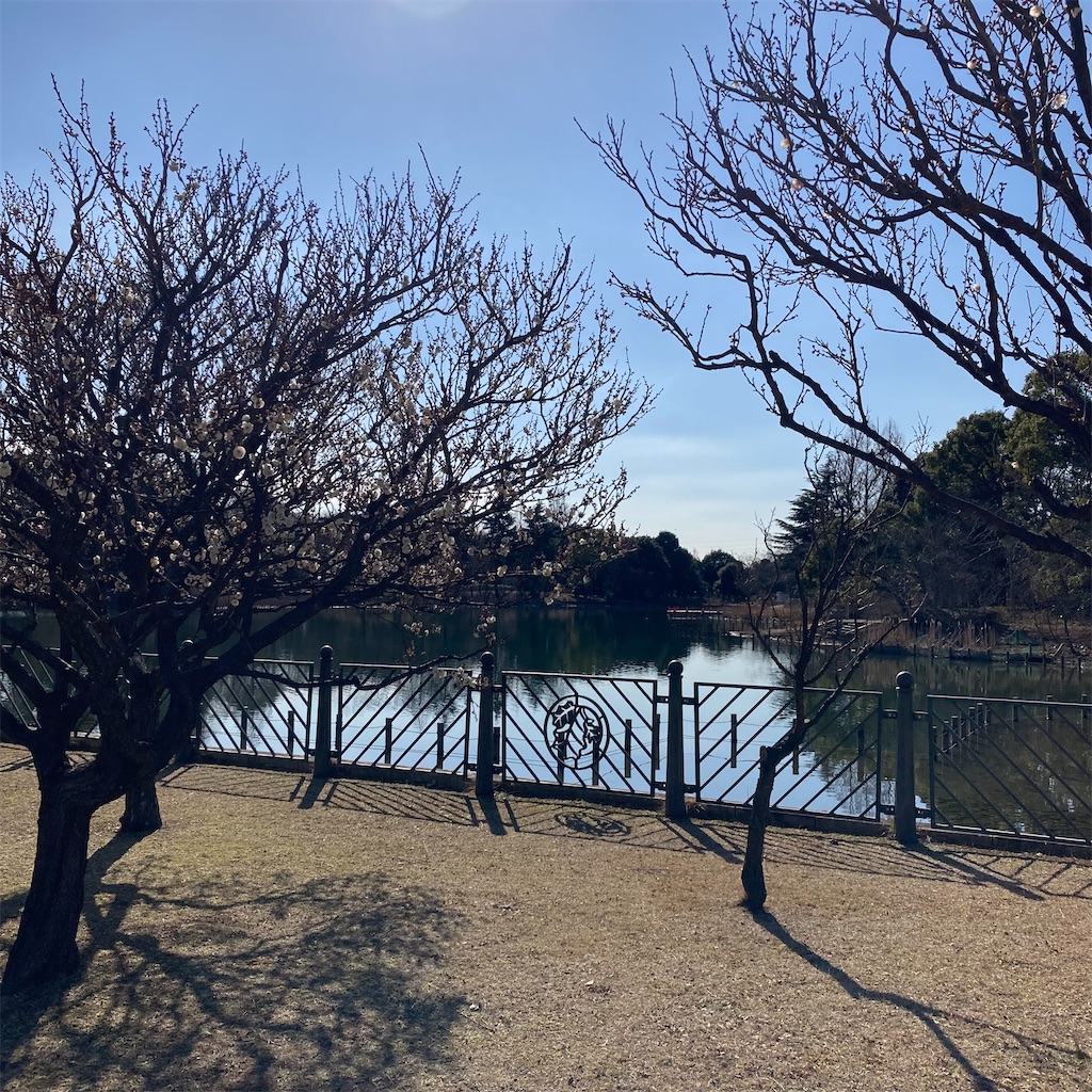 f:id:oishi5959:20230414200758j:image f:id:oishi5959:20230414200758j:image