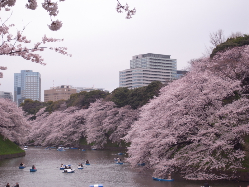 f:id:oishikattakara:20100404161900j:image:left f:id:oishikattakara:20100404161900j:image:left