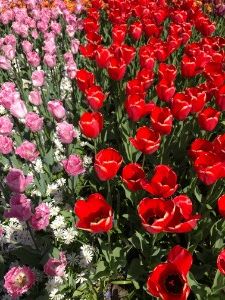 f:id:oisiioranda:20170502030548j:plain f:id:oisiioranda:20170502030548j:plain