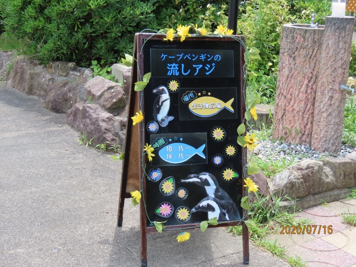 f:id:oisomachi-konkatsu-kekkon:20200717232409j:plain f:id:oisomachi-konkatsu-kekkon:20200717232409j:plain
