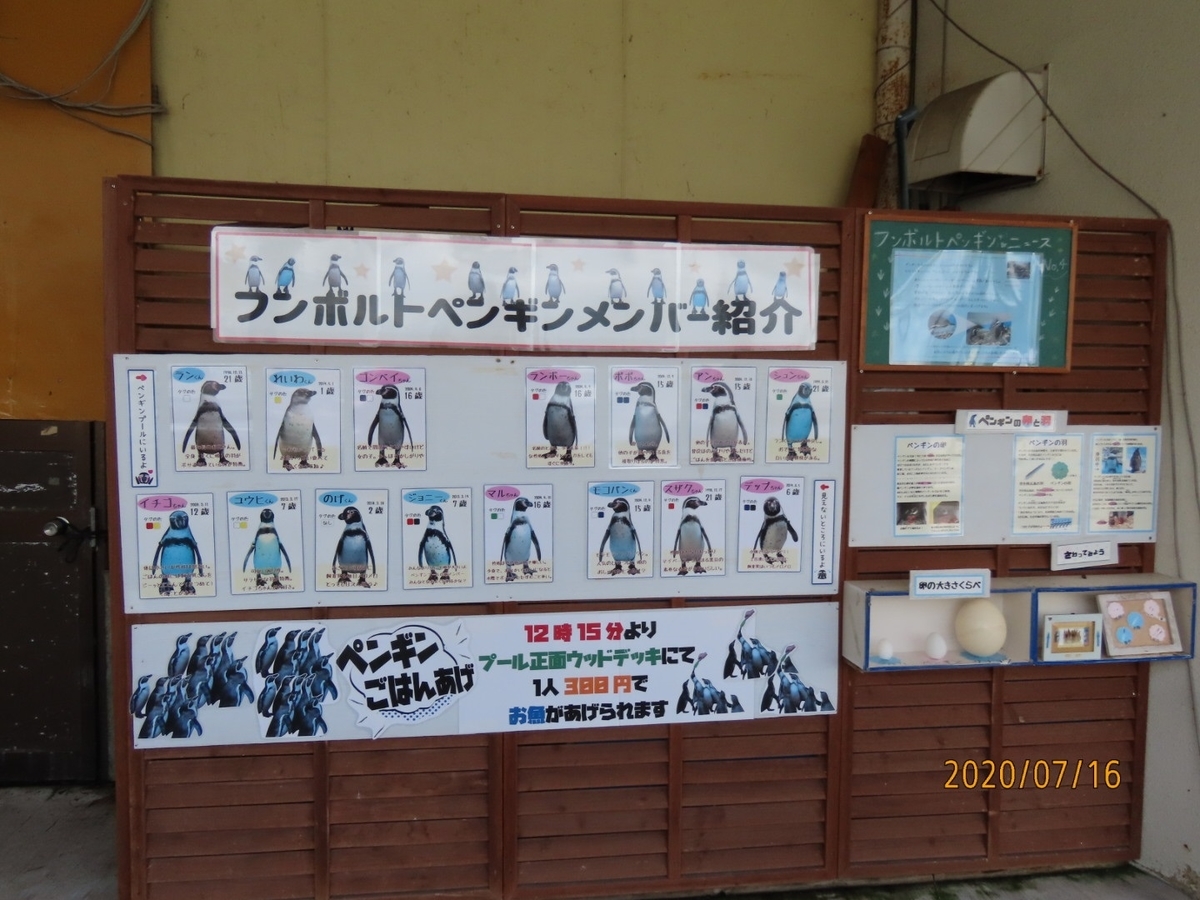 f:id:oisomachi-konkatsu-kekkon:20200717232423j:plain f:id:oisomachi-konkatsu-kekkon:20200717232423j:plain